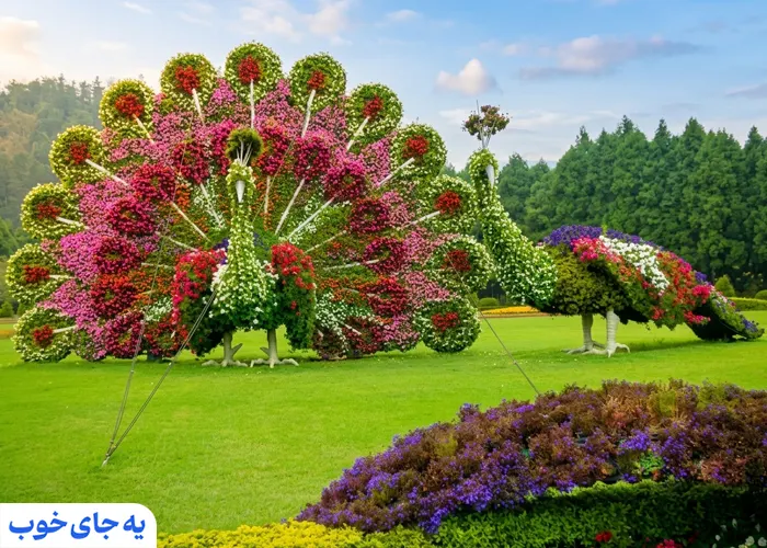 معرفی کامل بخش های باغ